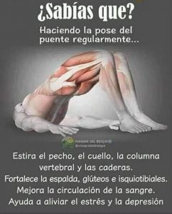 Beneficios de determinadas posturas del yoga